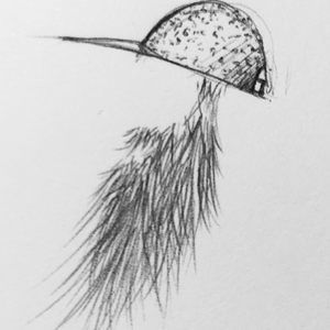 Meet your Posher, Steve